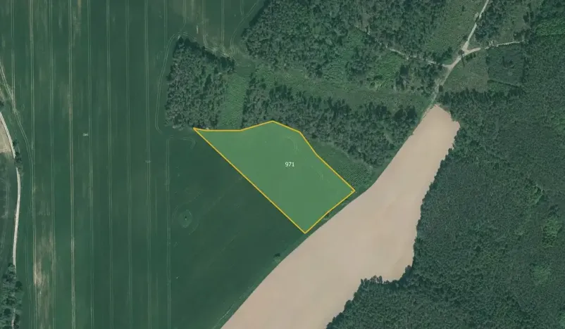 Prodej pole, Poběžovice, 64029 m2