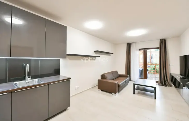 Pronájem bytu 1+kk, Praha - Bubeneč, Mlýnská, 47 m2