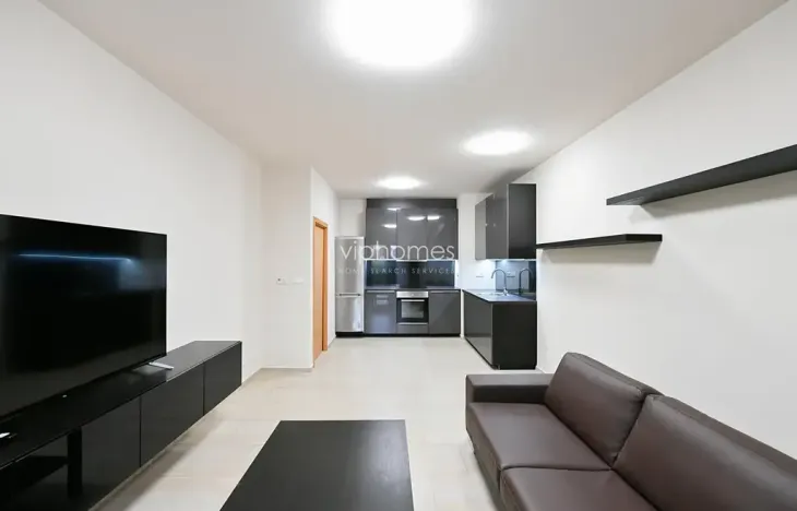 Pronájem bytu 1+kk, Praha - Bubeneč, Mlýnská, 47 m2