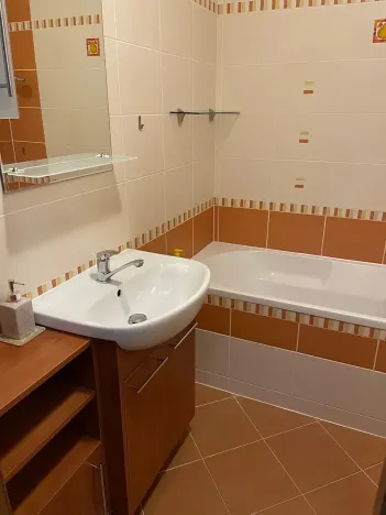 Pronájem bytu 1+kk, Olomouc, Mošnerova, 40 m2