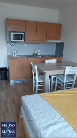 Prodej bytu 1+kk, Brno, Božetěchova, 23 m2