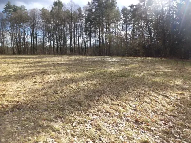 Dražba louky, Novosedly nad Nežárkou, 15643 m2