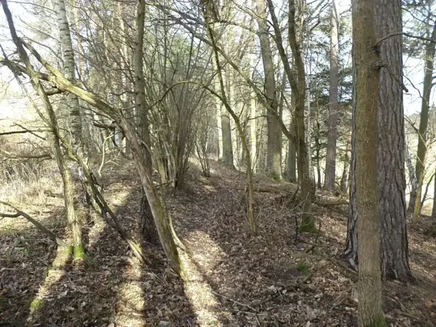 Dražba louky, Novosedly nad Nežárkou, 15643 m2