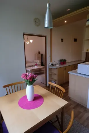 Pronájem bytu 2+1, Uherský Brod, Revoluční, 64 m2