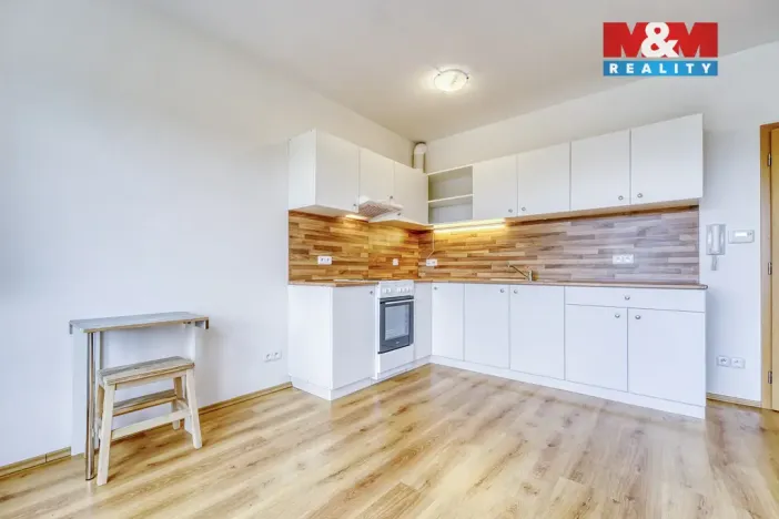 Pronájem bytu 1+kk, Plasy, U Václava, 42 m2