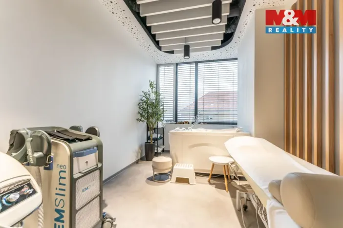 Pronájem komerční nemovitosti, Praha, Jihlavská, 30 m2