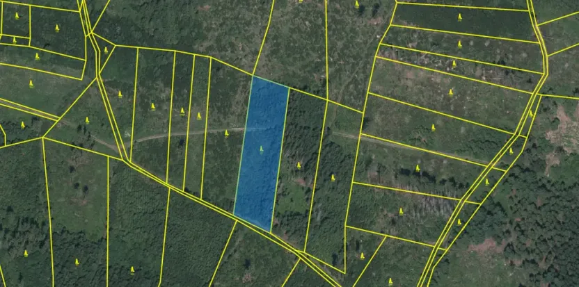 Prodej lesa, Kolinec - Buršice, 5195 m2