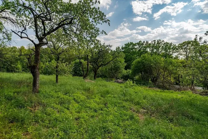 Prodej pozemku pro bydlení, Veliny, 1652 m2