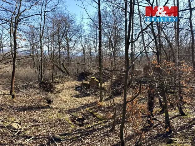 Prodej pozemku, Hrob, 443 m2