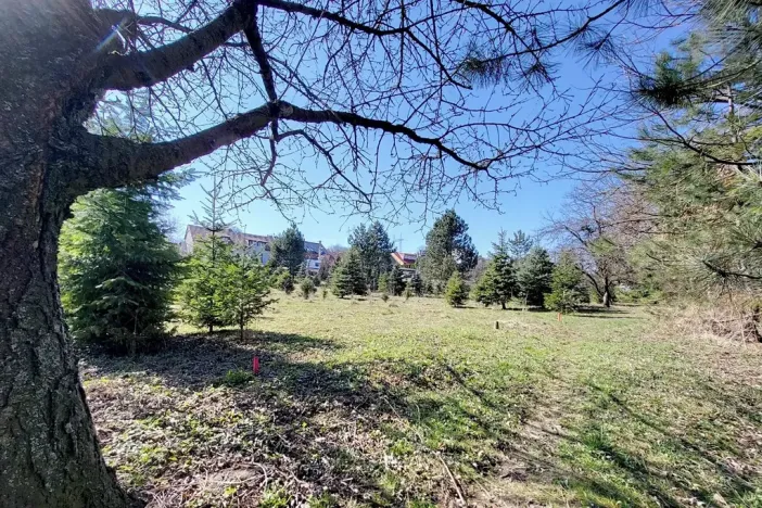 Prodej pozemku pro bydlení, Popůvky, 971 m2