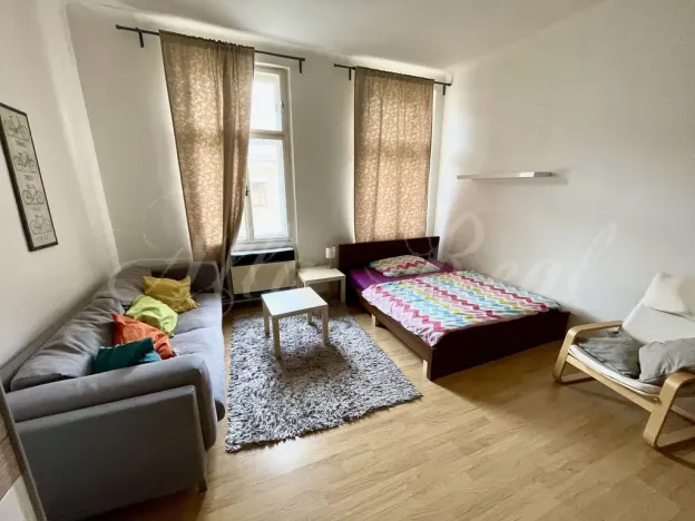 Pronájem bytu 2+1, Brno - Staré Brno, Pekařská, 62 m2