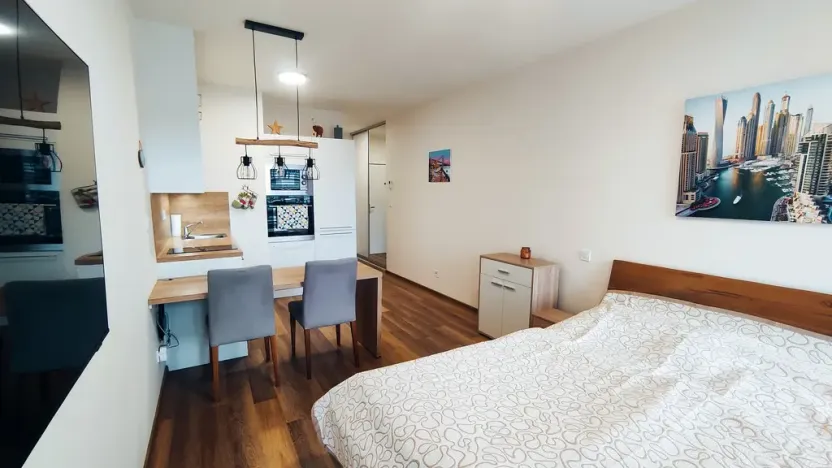 Pronájem bytu 1+kk, Olomouc, Šantova, 28 m2