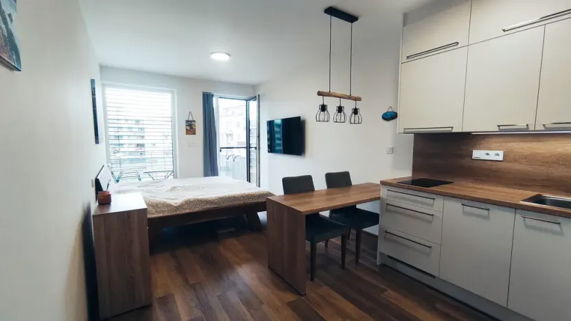 Pronájem bytu 1+kk, Olomouc, Šantova, 28 m2