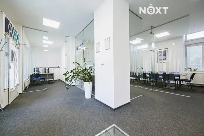 Pronájem kanceláře, Brno, Křídlovická, 115 m2