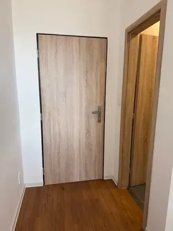 Pronájem bytu 1+kk, Liberec, Březová alej, 22 m2