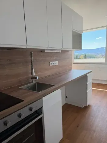 Pronájem bytu 1+kk, Liberec, Březová alej, 22 m2