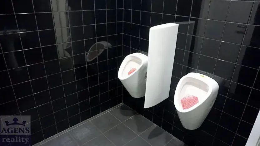 Pronájem kanceláře, Praha - Holešovice, Dobrovského, 362 m2