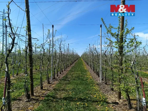 Prodej pole, Synkov-Slemeno - Slemeno, 8946 m2