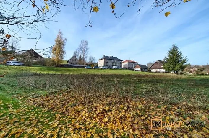 Prodej pozemku pro bydlení, Mříčná, 1989 m2