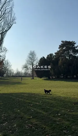 Prodej bytu 2+kk, Praha - Holešovice, Kostelní, 62 m2