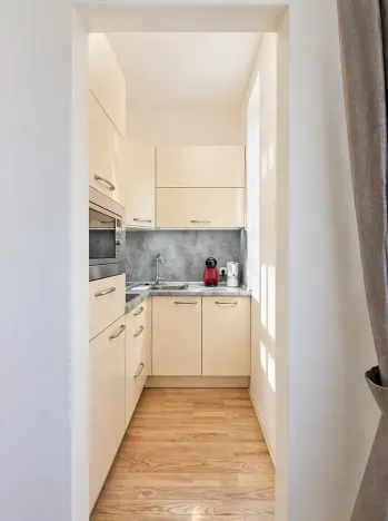 Pronájem bytu 2+1, Praha - Staré Město, Haštalská, 49 m2