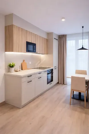 Pronájem bytu 2+kk, Praha - Nusle, Svatoslavova, 38 m2