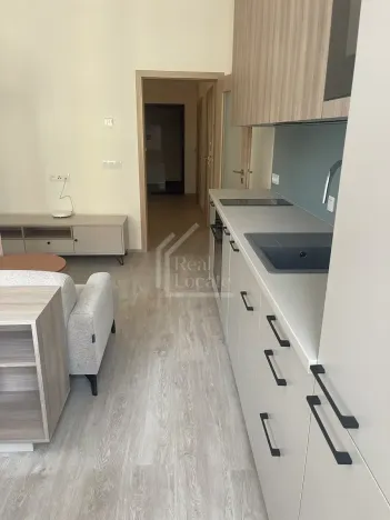 Pronájem bytu 2+kk, Praha - Nusle, Svatoslavova, 38 m2