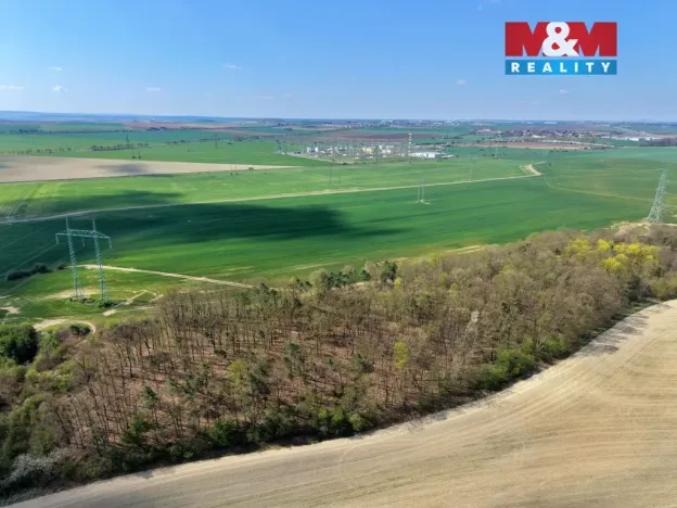 Prodej lesa, Mochov, 4629 m2