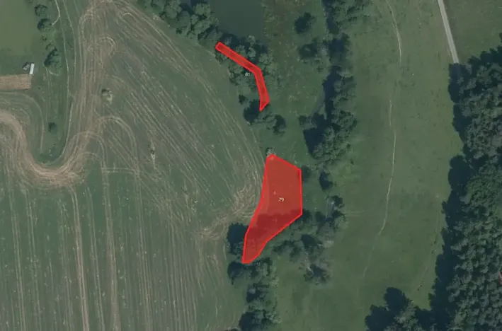 Prodej pole, Jankov, 64632 m2