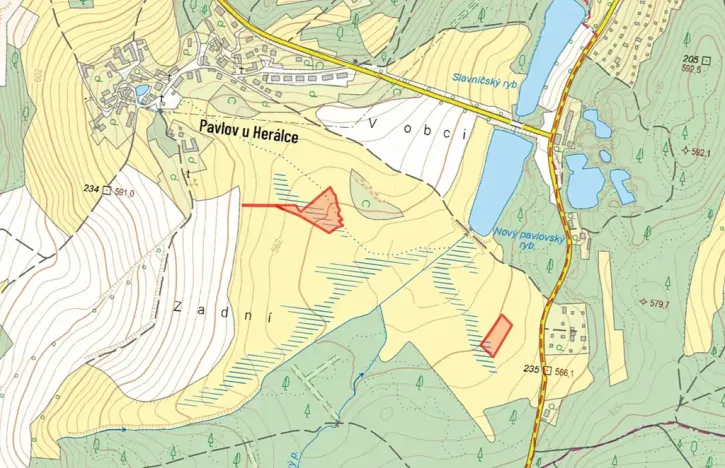 Prodej louky, Herálec, 7771 m2