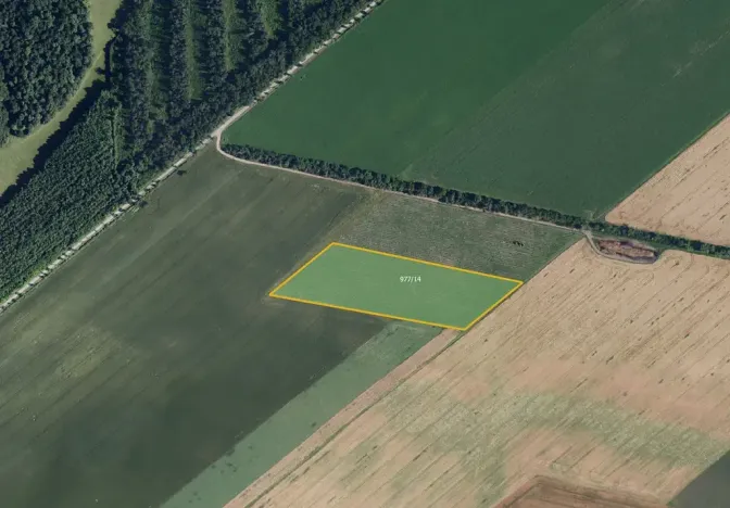 Prodej sadu/vinice, Bulhary, 63228 m2