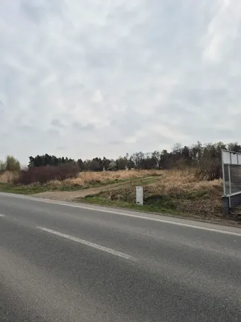 Prodej komerčního pozemku, Doksy, Karlovarská, 2917 m2