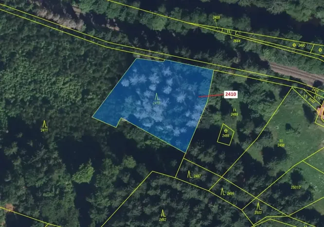 Dražba lesa, Jablonec nad Jizerou, 2416 m2