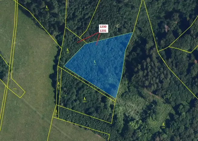 Dražba lesa, Horní Studénky, 7904 m2