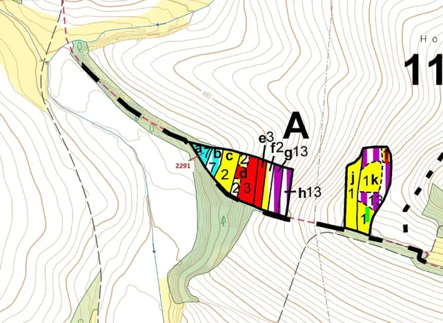 Dražba lesa, Chotěbudice, 529 m2