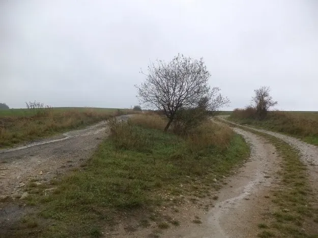 Prodej pozemku, Peč - Urbaneč, 7060 m2