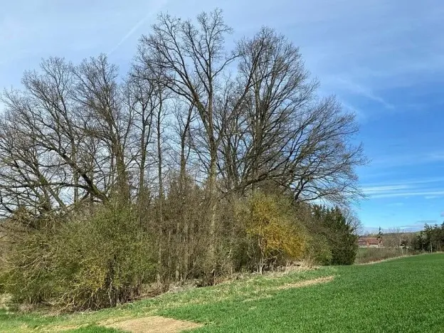 Prodej pole, Okrouhlá Radouň, 17482 m2