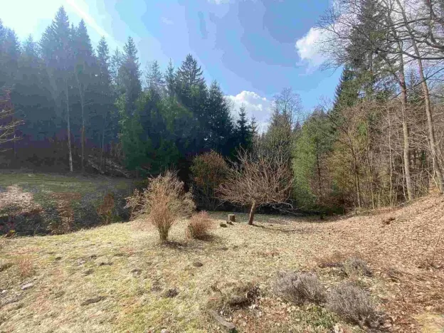 Prodej pozemku, Rokytnice v Orlických horách, 858 m2