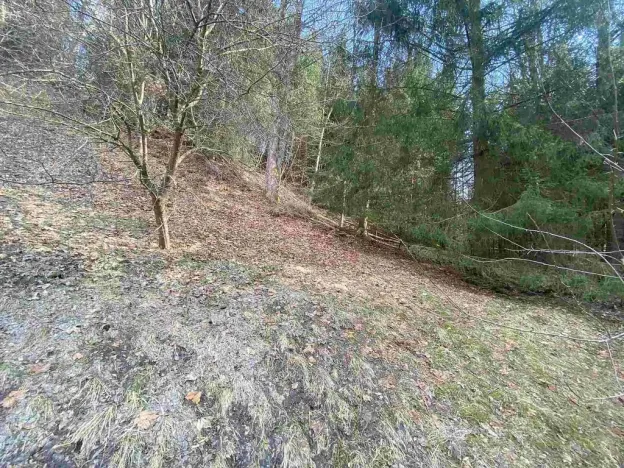 Prodej pozemku, Rokytnice v Orlických horách, 858 m2