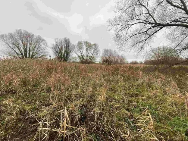 Prodej pozemku, Křenovice, 4103 m2