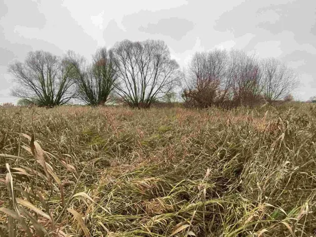 Prodej pozemku, Křenovice, 4103 m2