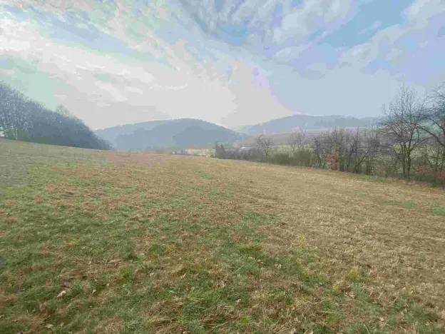 Prodej pozemku, Linhartice, 9269 m2