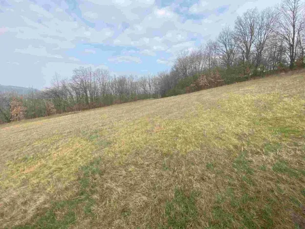 Prodej pozemku, Linhartice, 9269 m2