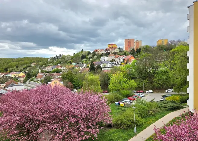 Prodej bytu 1+kk, Brno, Žebětínská, 31 m2