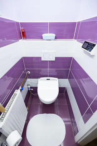 Prodej vícegeneračního domu, Vejprty, 900 m2