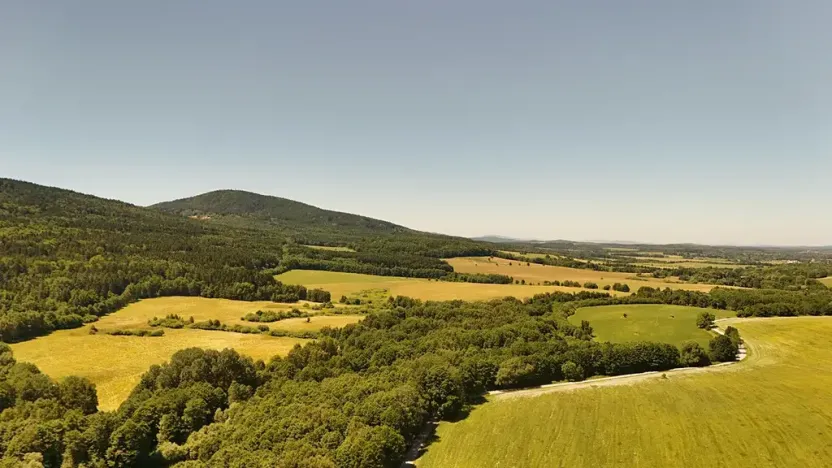 Prodej lesa, Horní Stropnice, 35281 m2