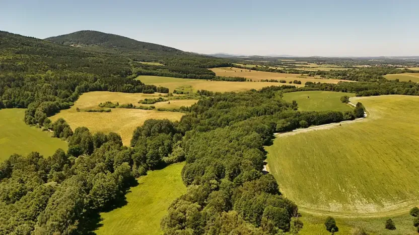 Prodej lesa, Horní Stropnice, 35281 m2