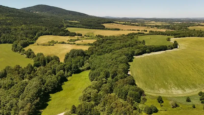 Prodej lesa, Horní Stropnice, 35281 m2