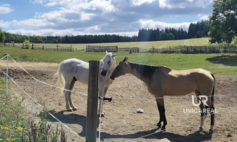 Prodej rodinného domu, Kamenná Horka, 273 m2