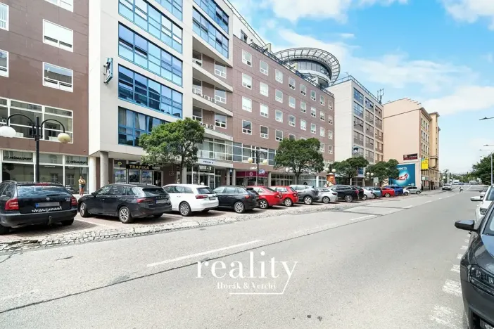 Prodej bytu 4+1, Brno, Příkop, 181 m2